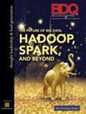 The Future of Big Data: Hadoop, Spark and Beyond
