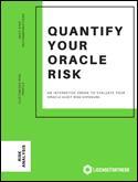 Oracle Audit Risk Exposure eBook