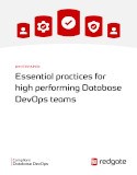 Essential practices for high performing Database DevOps teams ...
