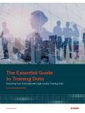Essential Guide to Training Data