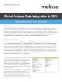 Global Address Data Integration in SSIS