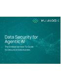 Data Security for Agentic AI